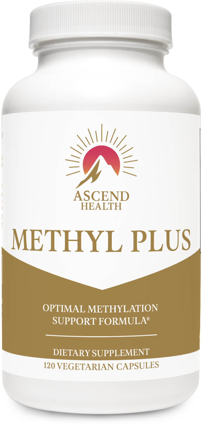 Methyl Protect® 120 Capsules